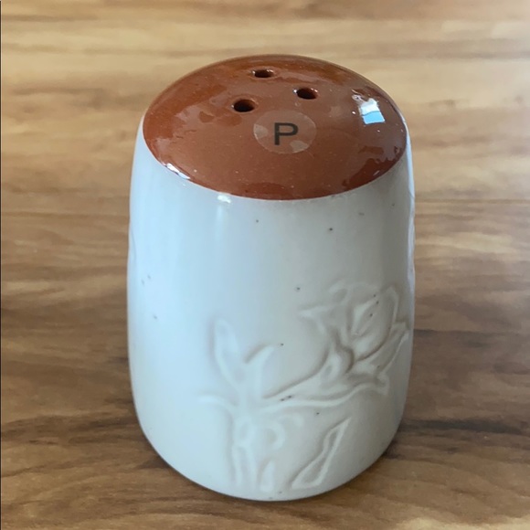 Pier 1 Glazed Terracotta Salt & Pepper Shaker - Picture 7 of 12